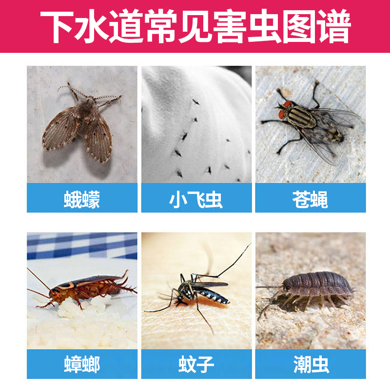 Drain Insect Repellent & Cleaner