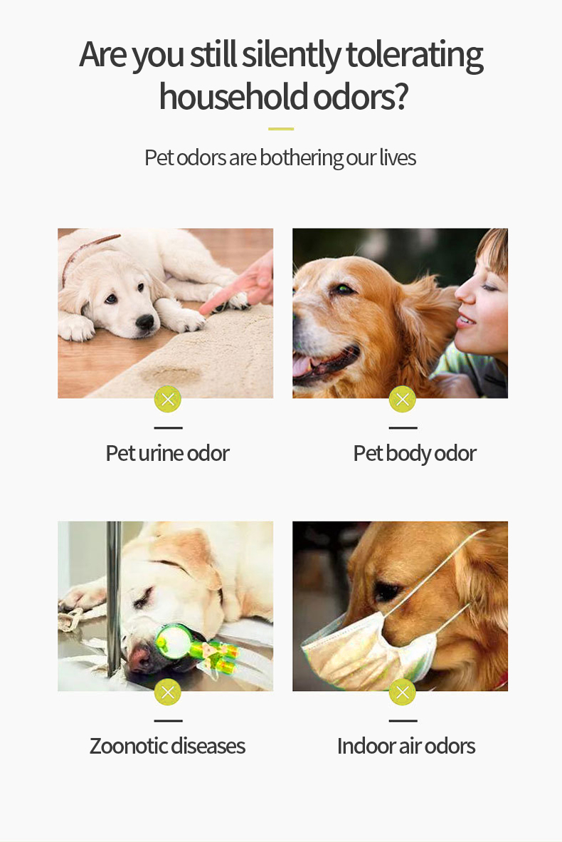 Pet Odor Eliminato