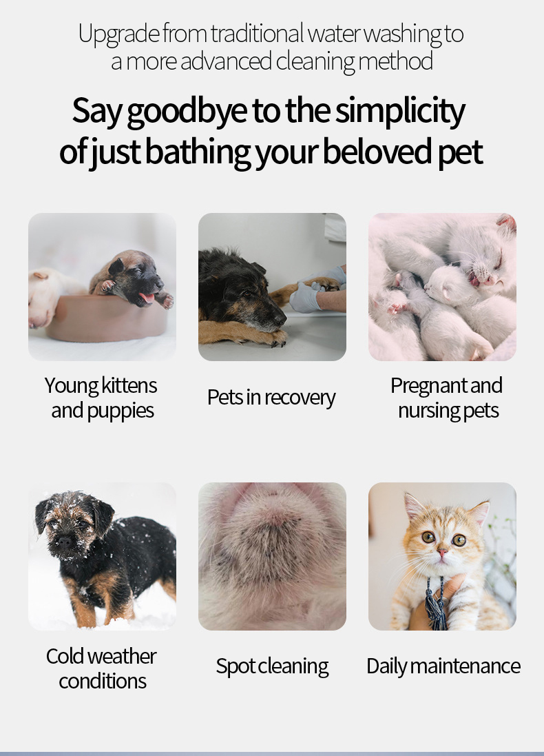Pet Hair Dry Cleaning Mousse