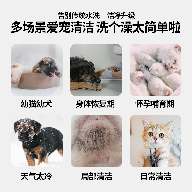 宠物毛发干洗慕斯